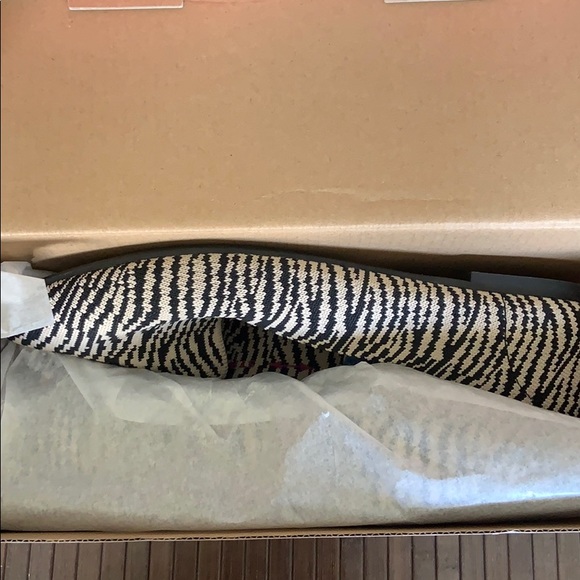 skechers cleo knitty kitty